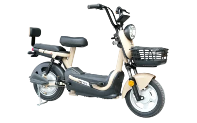 Arora ZR 3